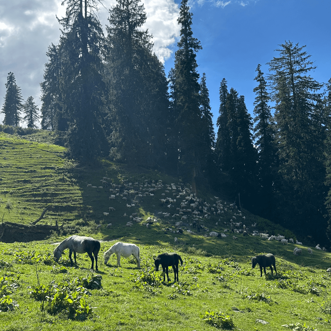 LGBTQ+ Travel In India