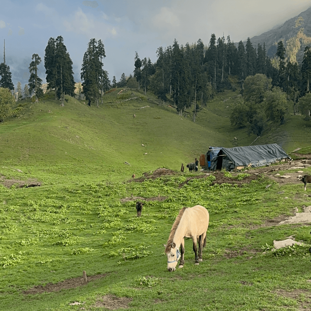 LGBTQ+ Travel In India