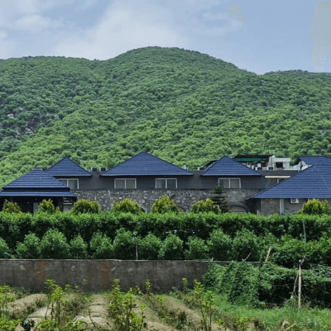 Pushkar Queer Holi Trip