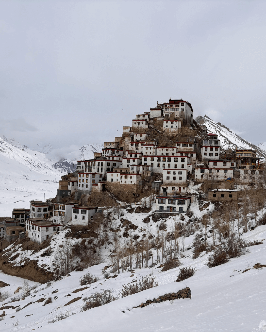 Winter Spiti Queer Trip