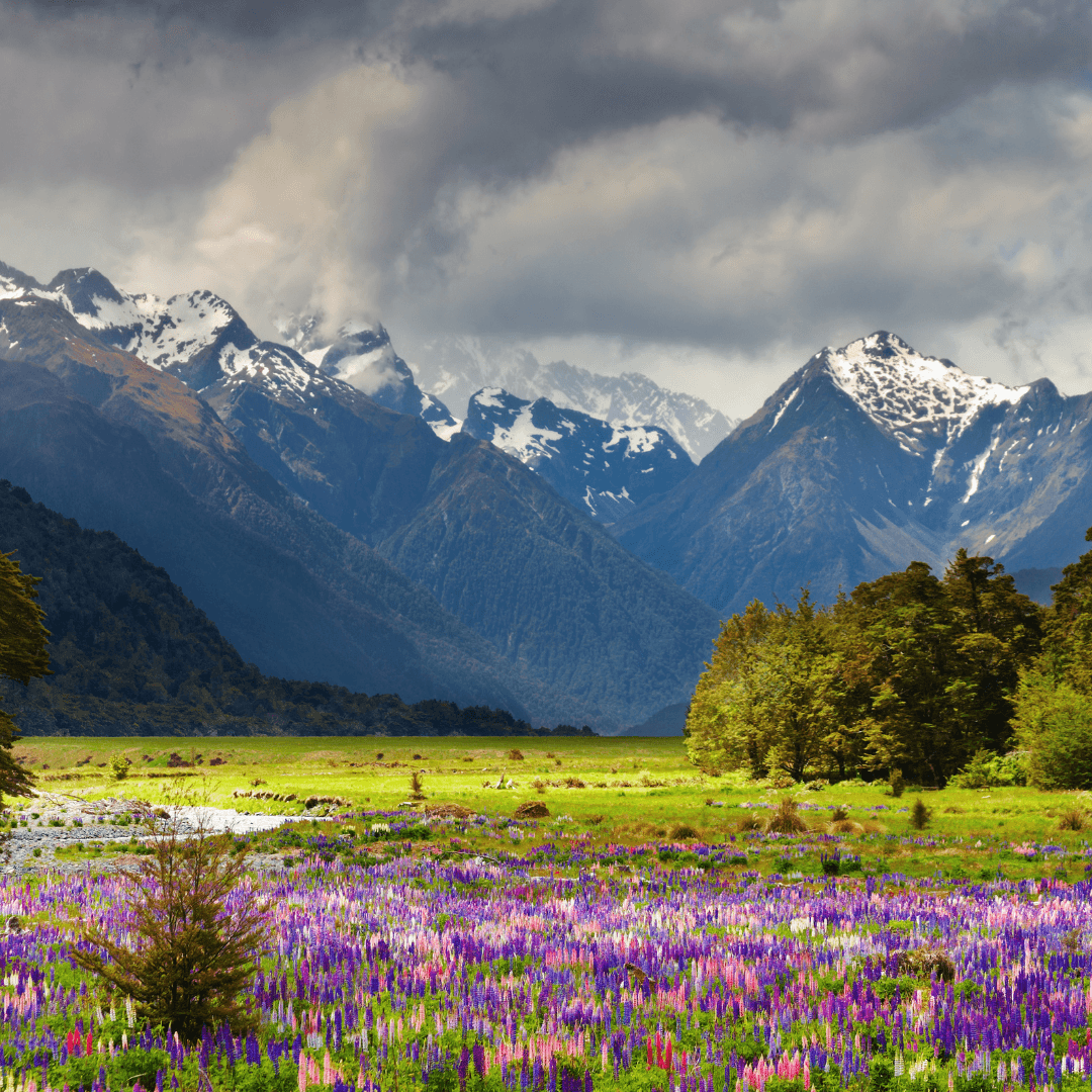 Valley Of Flowers Queer Trip