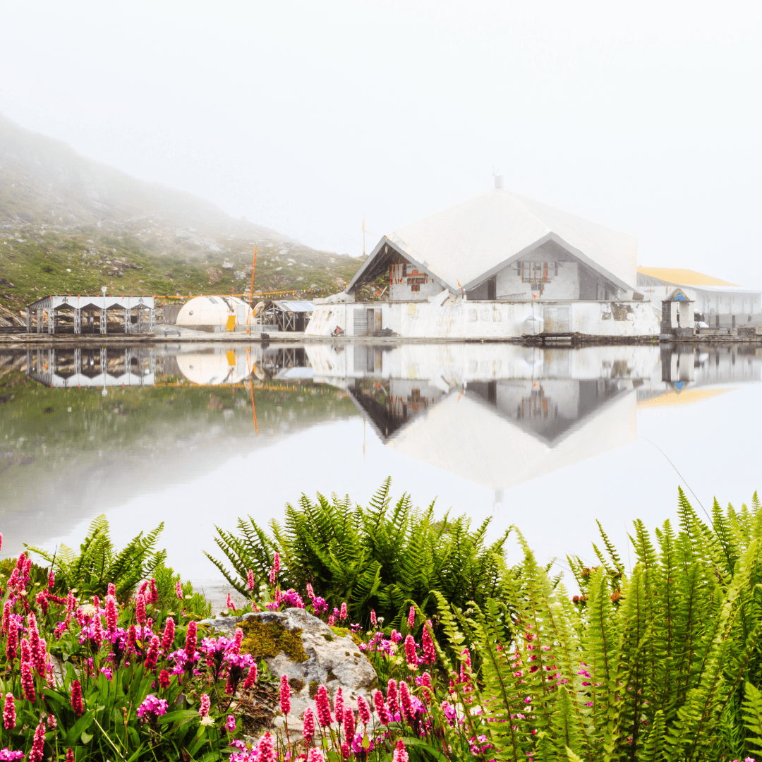 Valley Of Flowers Queer Trip