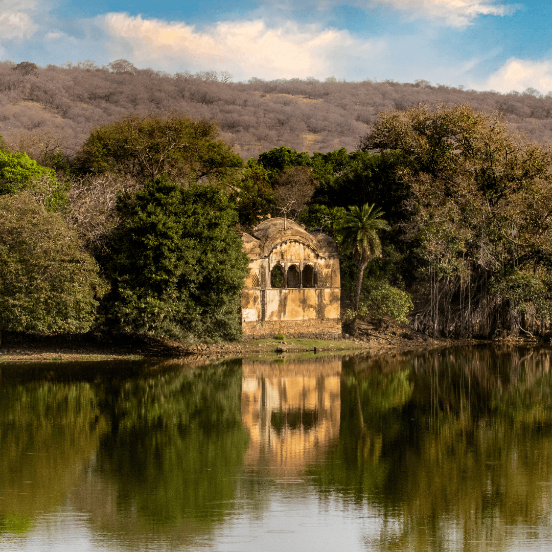 Rajasthan Queer Trip