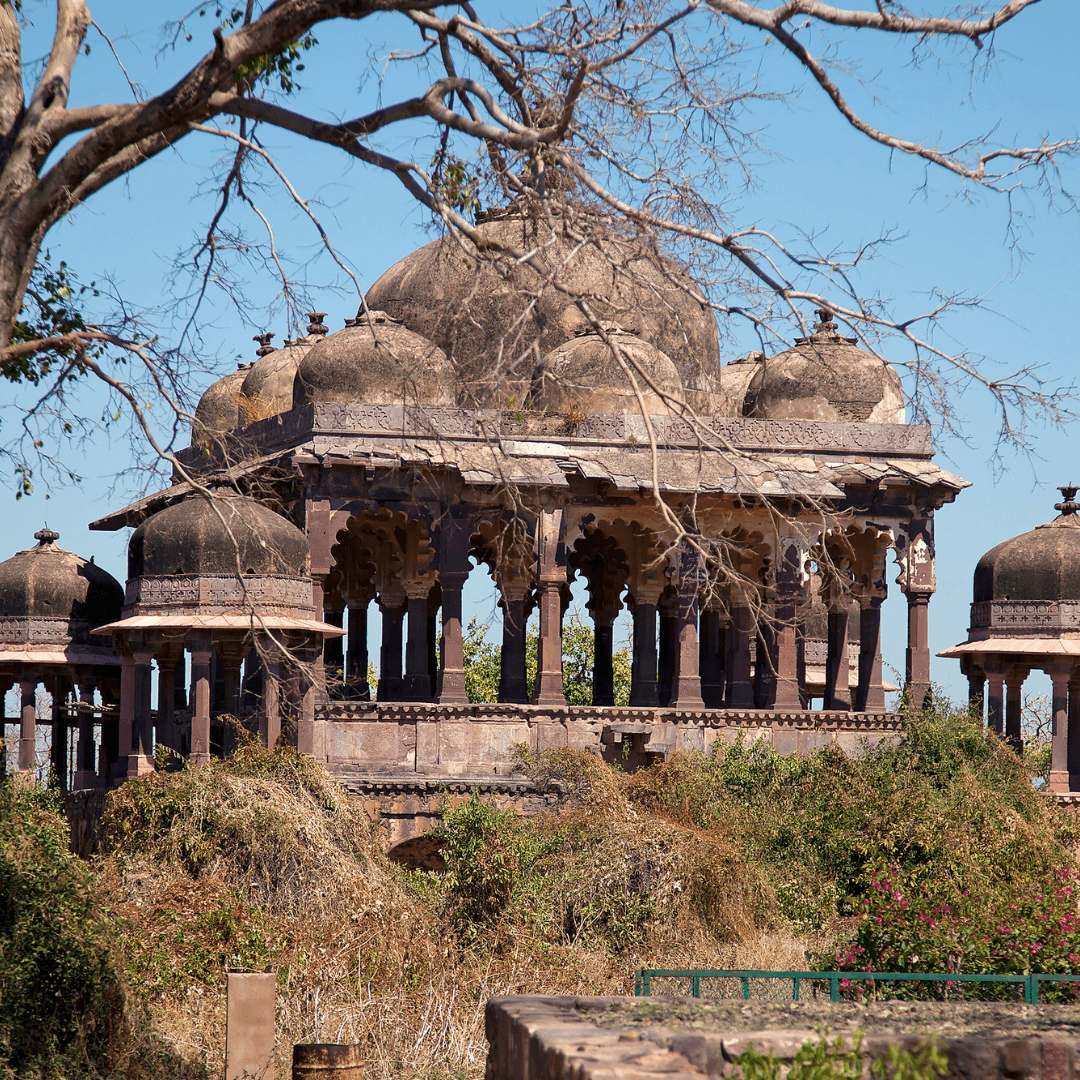Rajasthan Queer Trip
